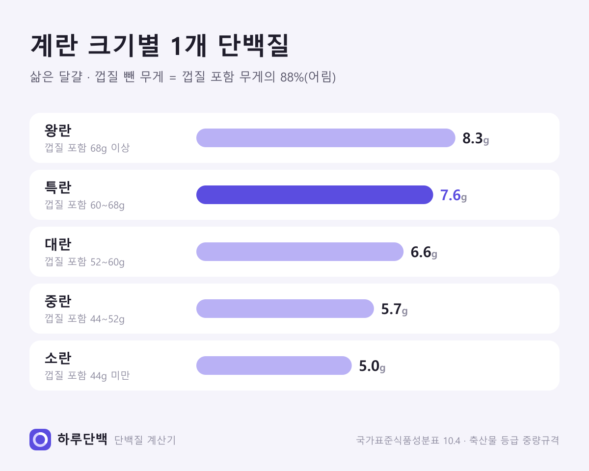 삶은 달걀 1개 크기별 단백질: 왕란 8.3g, 특란 7.6g, 대란 6.6g, 중란 5.7g, 소란 5.0g (껍질 포함 무게의 88%를 먹는 부분으로 어림)